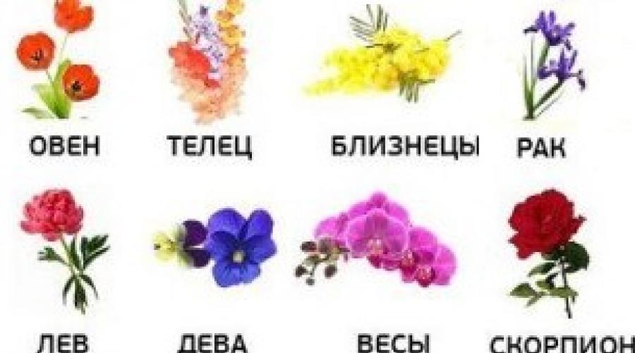 Цветы Для Козерога Женщины По Гороскопу Какие