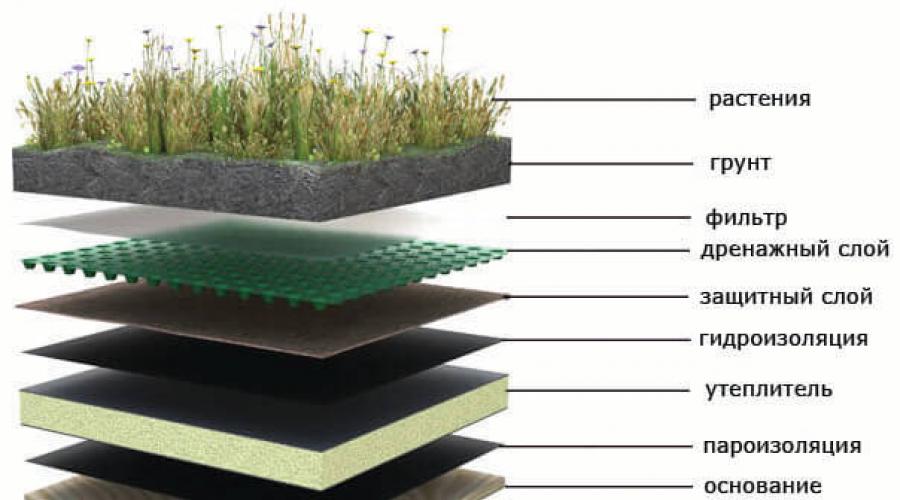 Как сделать экологичную и эстетичную зелёную крышу своими руками. Травянистые земляные крыши Устройство зеленых крыш