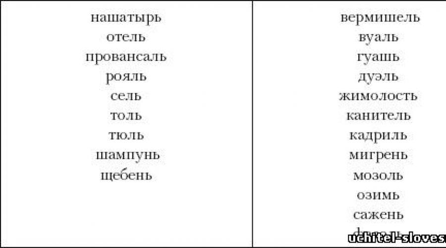 The term morphological norms of the Russian literary language.  Lecture