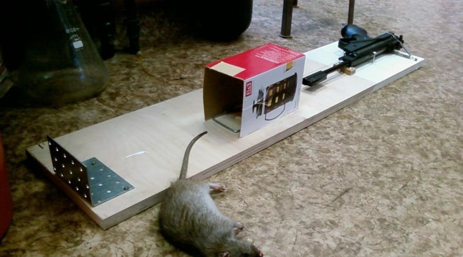 para Ratas & más grandes roedores Intruso roedor trap trampa más fácil de establecer