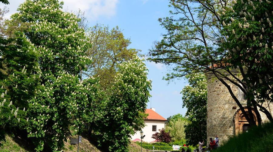 Yoqub cherkovi o'g'rining qo'li.  Kutna Hora soborlari.  Avliyo soborining ichki qismi.  Yakuba