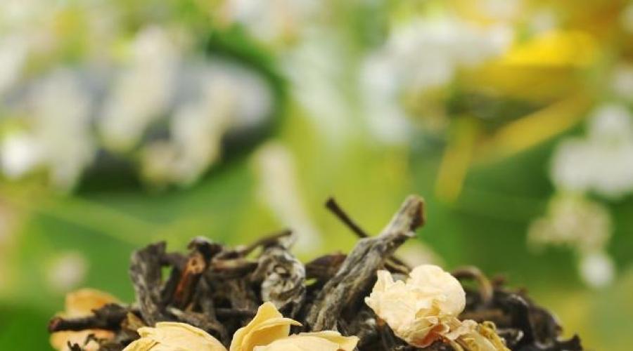 Можно ли садовый жасмин заваривать в чай. Чубушник (ложный жасмин) — описание, свойства, применение, рецепты. Основные правила посадки