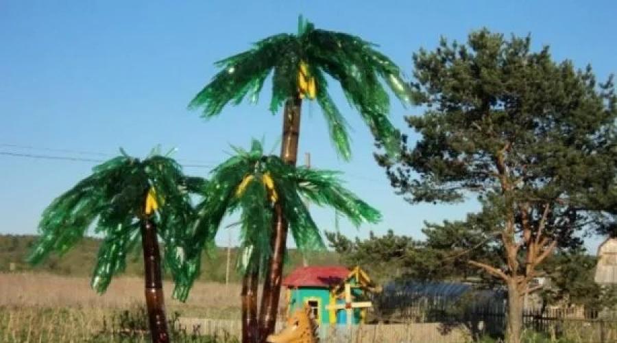 Kako napraviti palmu od plastičnih boca?  Kako napraviti veliku, malu i bonsai palmu od plastičnih boca?  Korak-po-korak upute za sastavljanje palmi od plastičnih boca Učinite sami plastične boce palme upute korak po korak