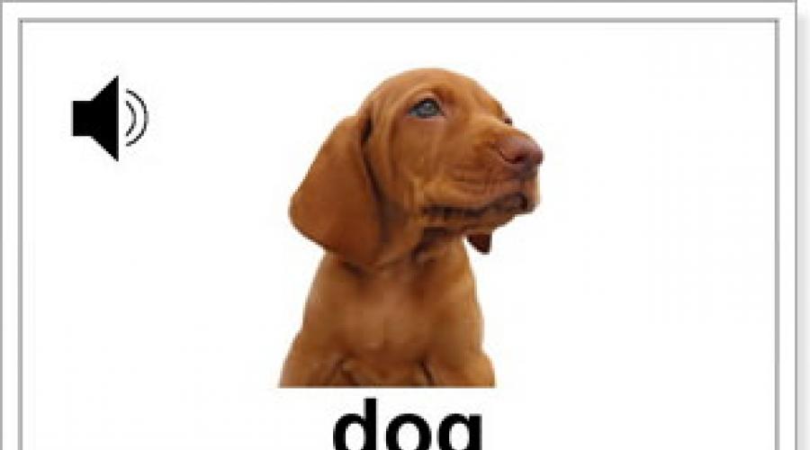Произнеси слова собака. Собака по английскому. Как будет по английски собака. Собака на английском языке для детей. Карточка собака на английском языке.