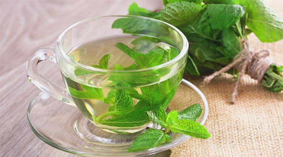 Té verde con menta durante el embarazo.  Los beneficios y perjuicios de la menta para las mujeres embarazadas.  Recetas de té de menta