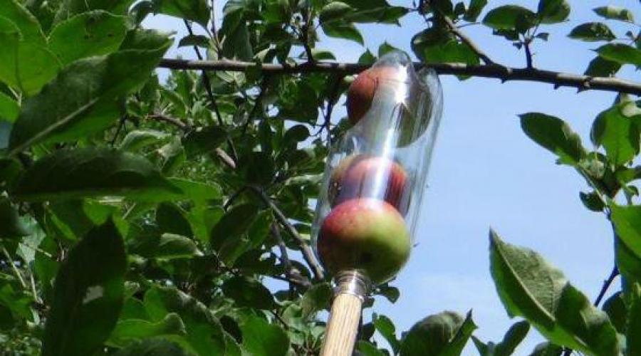 Как сделать приспособление для снятия яблок. Плодосъемник для яблок: виды и советы по выбору. Правильная сумка для сбора урожая