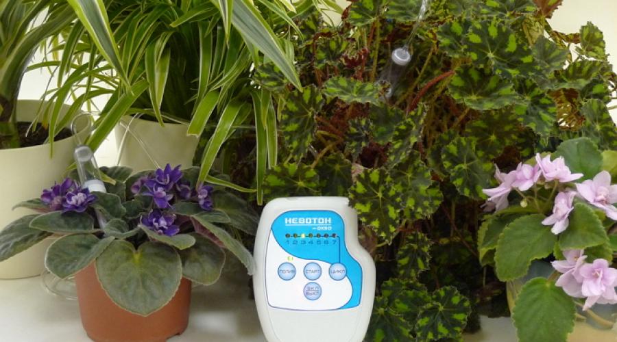 Automatyczne podlewanie w doniczce własnymi rękami.  Automatyczne nawadnianie zrób to sam dla roślin domowych.  Hydrożel i glinka ziarnista
