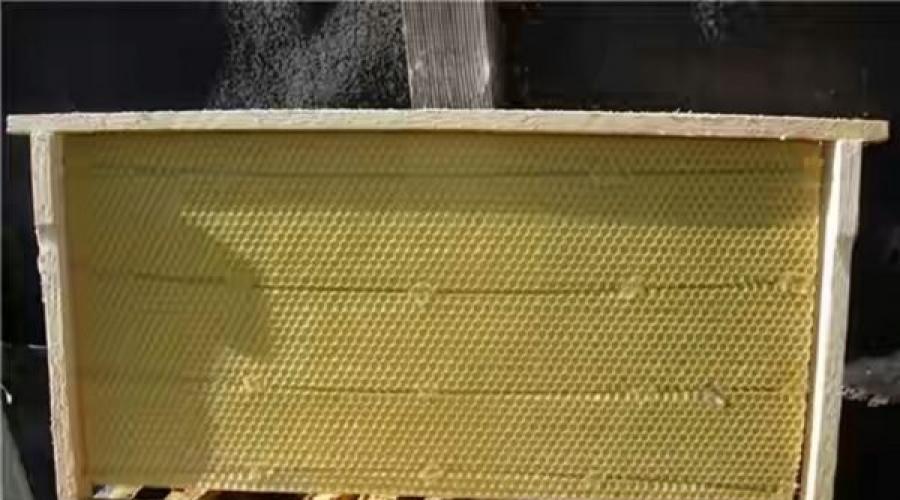 Fabriquez de vos propres mains des abeilles décoratives pour votre jardin.  La ruche comme élément décoratif dans le jardin.  La ruche universelle de Kuznetsov