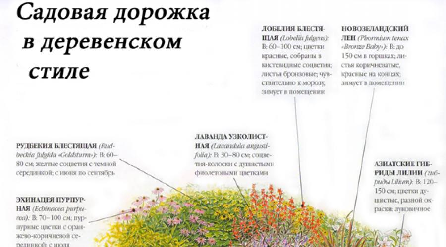 Design of paths in the garden plot.  Do-it-yourself paths in the country.  Technology for making wooden paths in the garden