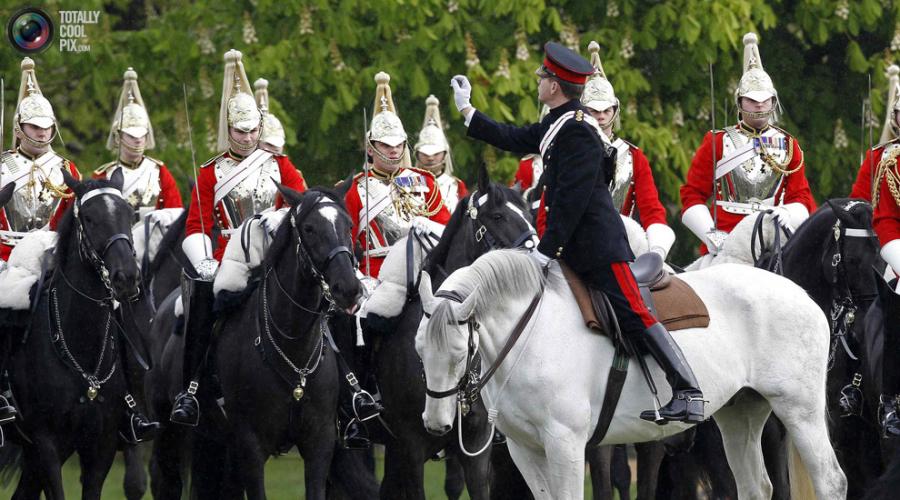 Лейб гвардии конный полк. Королевская конная гвардия. Отрывок, характеризующий Конный лейб-гвардии полк