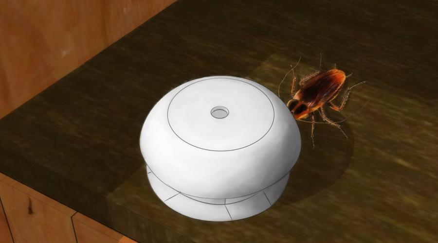 Эффективный способ выведения тараканов в доме. Как избавиться от .
