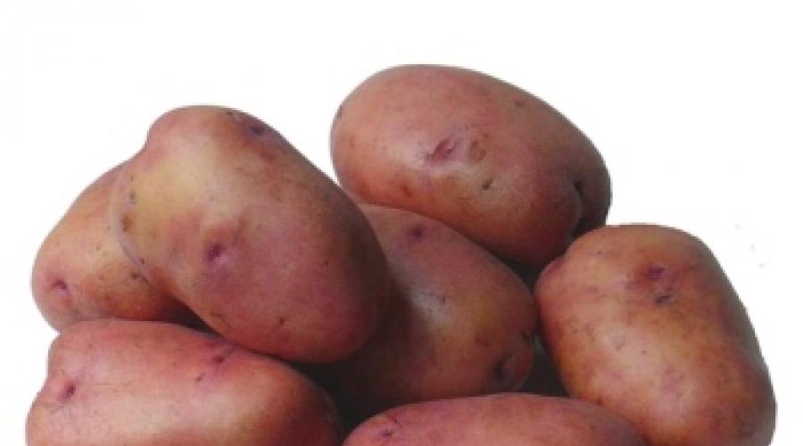 Бизнес-план выращивания картофеля. Сравнительный анализ урожайности картофеля в россии и в мире Норма семян картофеля на 1 га