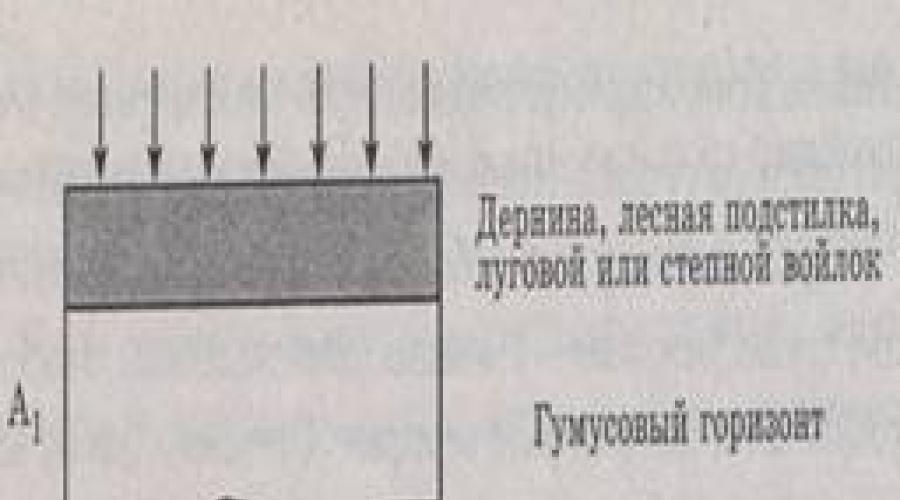Koja je vrsta tla najčešća u Rusiji?  Bilo da je to dobro ili loše sa ekonomske tačke gledišta.  Tlo na lokaciji: vrste tla po regijama i klimatskim zonama, stanje i poboljšanje sastava tla