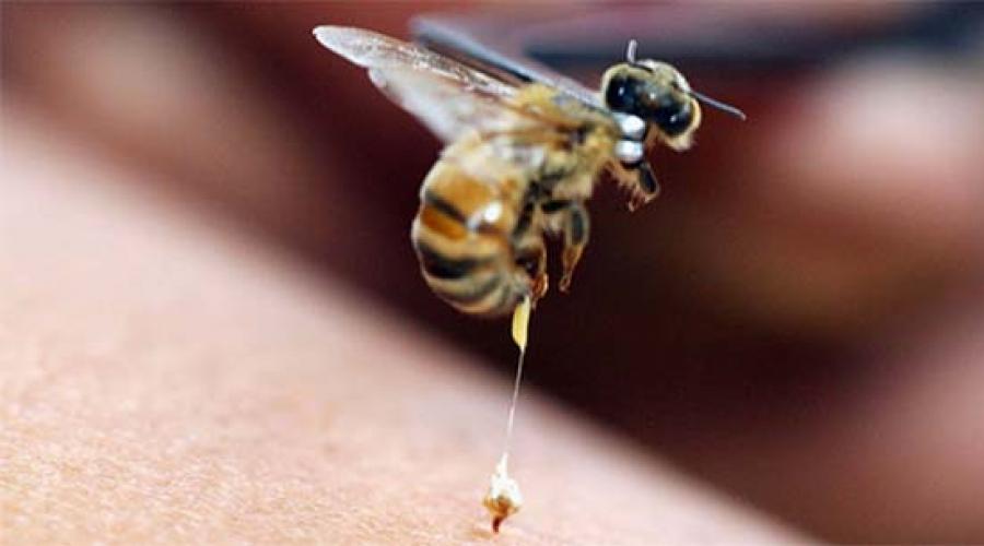 artroza liječenje pčela uboda