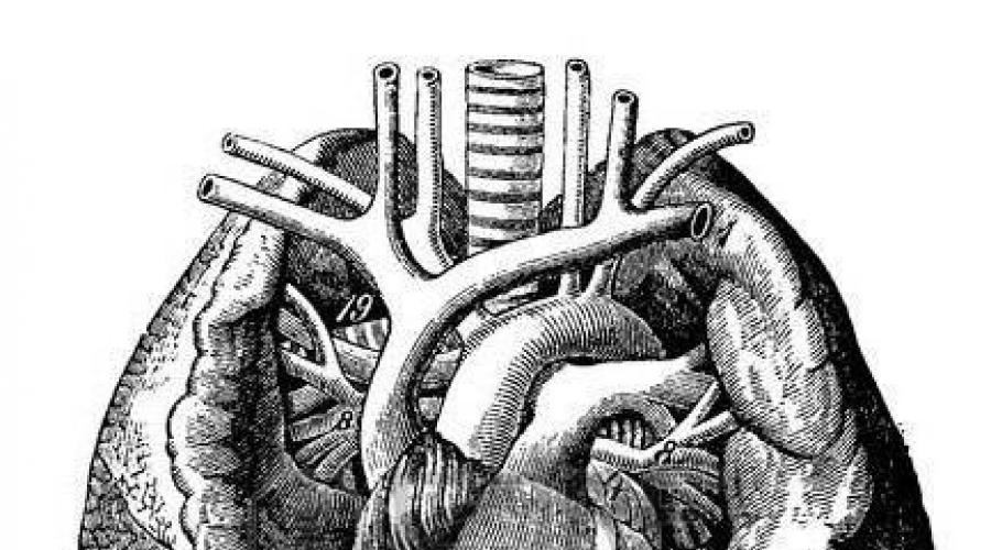 Ecocardiografía en el drenaje venoso pulmonar anómalo.  Drenaje venoso pulmonar anómalo parcial Drenaje venoso pulmonar anormal Diagnóstico