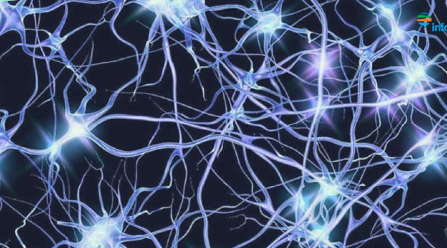 Когда восстанавливаются нервные клетки. Выживут только нейроны: Как восстановить нервные клетки. Правда ли, что нервные клетки не восстанавливаются