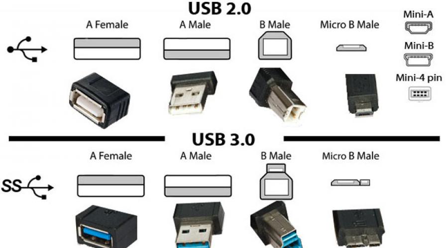 Double câble USB.  USB et ses versions