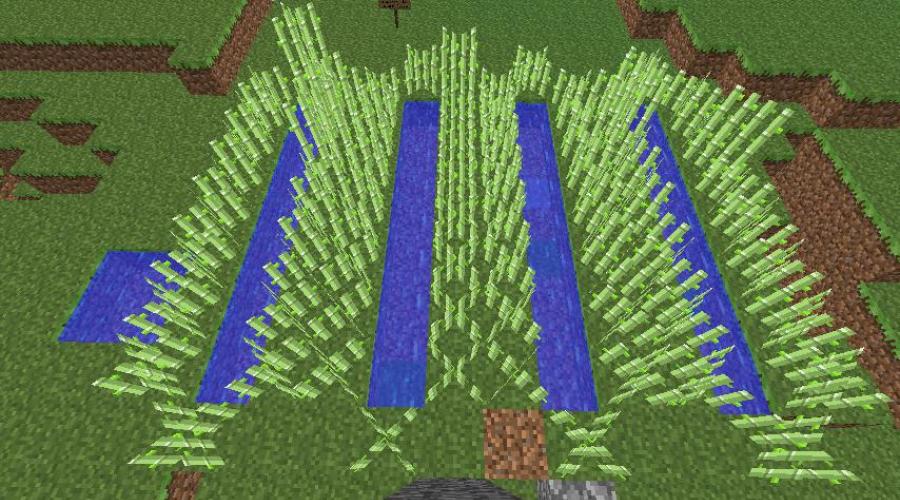 Сахарный тростник в Minecraft — для чего он нужен? Как в 