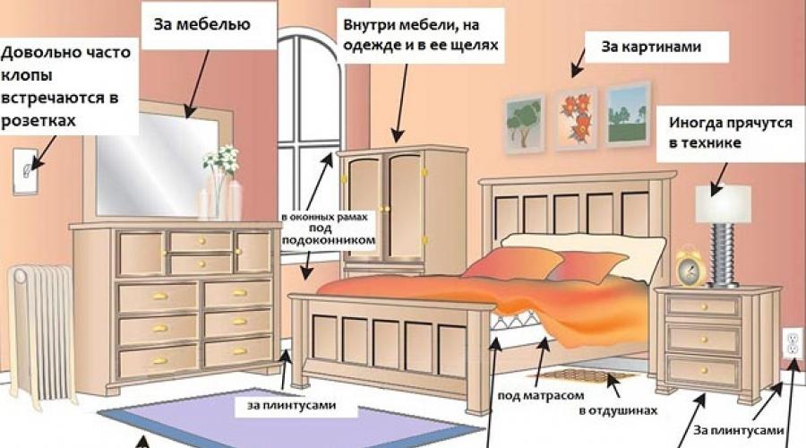 Как избавиться от постельных клопов в домашних условиях. Как вывести клопов из квартиры самостоятельно? Бесполезные способы: чего не боятся клопы